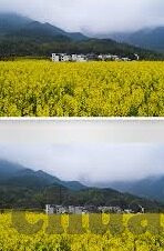 国产麻豆视频免费网站-